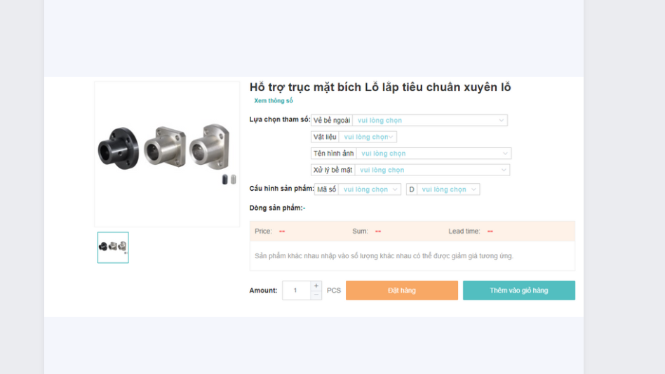 HỖ TRỢ TRỤC MẶT BÍCH LỖ LẮP TIÊU CHUẨN XUYÊN LỖ