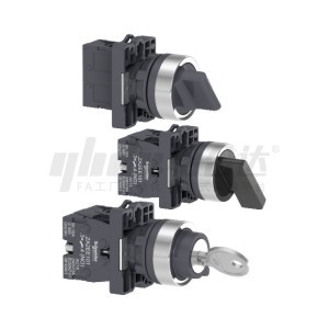 CÔNG TẮC CHỌN SCHNEIDER DÒNG XA2E NHỰA LỖ LẮP Φ22